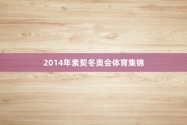 2014年索契冬奥会体育集锦