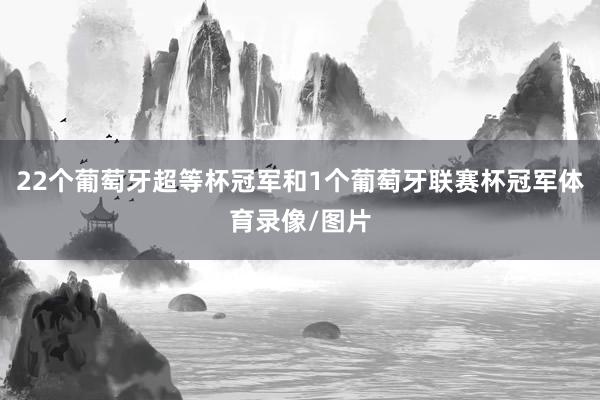 22个葡萄牙超等杯冠军和1个葡萄牙联赛杯冠军体育录像/图片