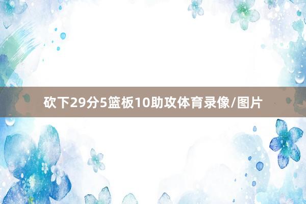 砍下29分5篮板10助攻体育录像/图片