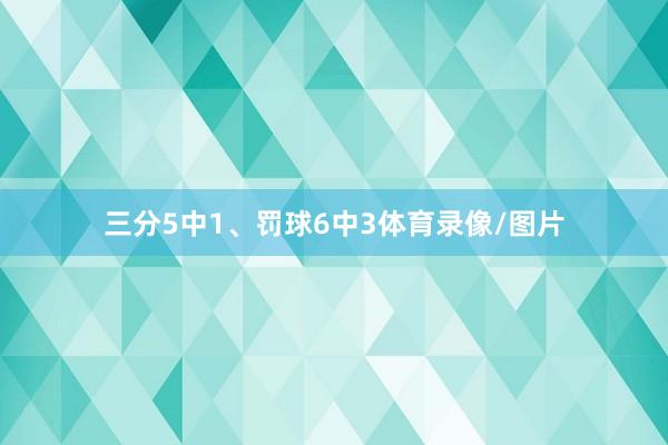 三分5中1、罚球6中3体育录像/图片