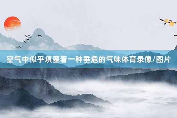 空气中似乎填塞着一种垂危的气味体育录像/图片