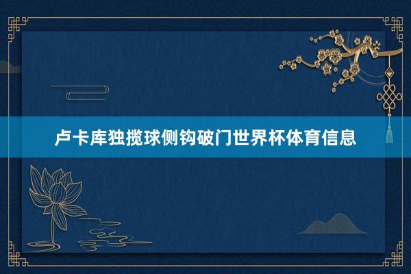 卢卡库独揽球侧钩破门世界杯体育信息