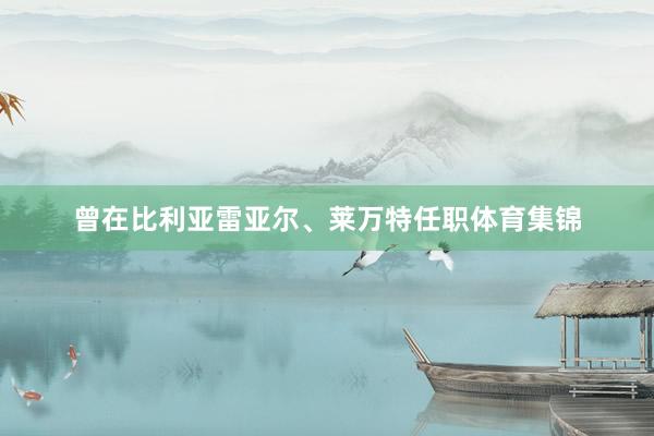曾在比利亚雷亚尔、莱万特任职体育集锦