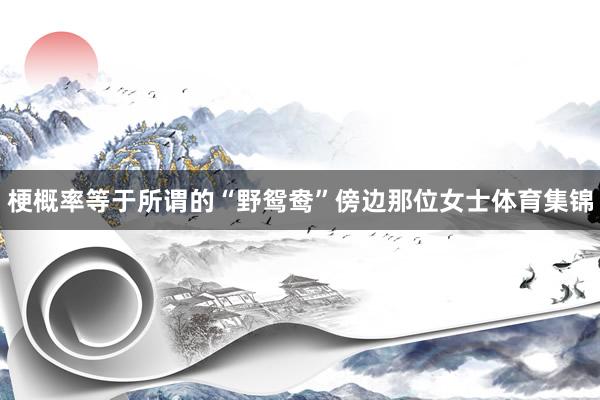 梗概率等于所谓的“野鸳鸯”傍边那位女士体育集锦