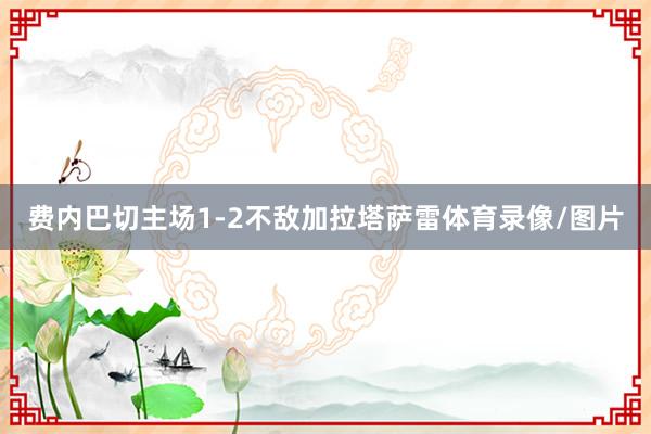 费内巴切主场1-2不敌加拉塔萨雷体育录像/图片