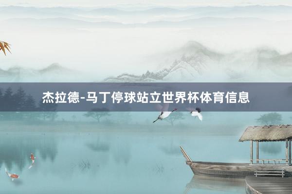 杰拉德-马丁停球站立世界杯体育信息