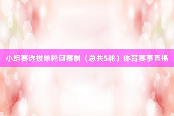 小组赛选拔单轮回赛制（总共5轮）体育赛事直播