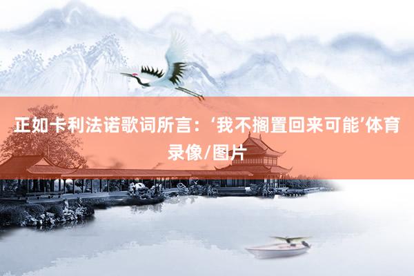 正如卡利法诺歌词所言：‘我不搁置回来可能’体育录像/图片