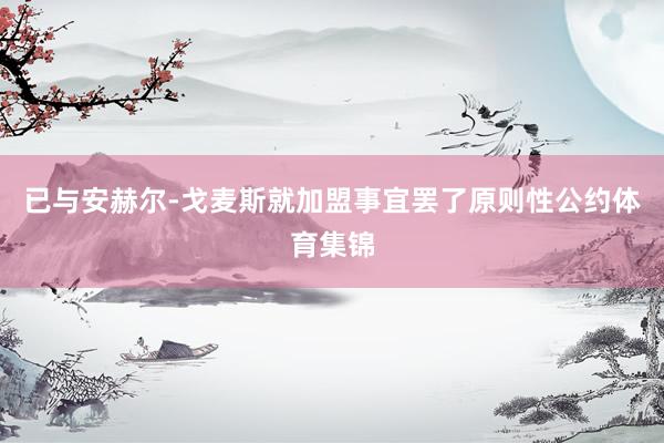 已与安赫尔-戈麦斯就加盟事宜罢了原则性公约体育集锦