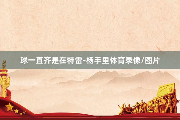 球一直齐是在特雷-杨手里体育录像/图片