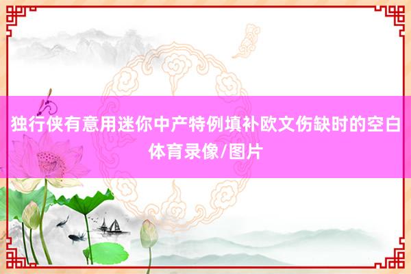 独行侠有意用迷你中产特例填补欧文伤缺时的空白体育录像/图片