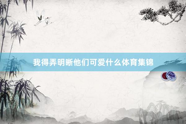 我得弄明晰他们可爱什么体育集锦
