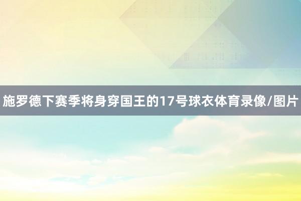 施罗德下赛季将身穿国王的17号球衣体育录像/图片