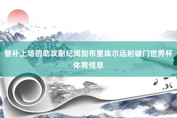 替补上场的助攻蒯纪闻加布里埃尔远射破门世界杯体育信息