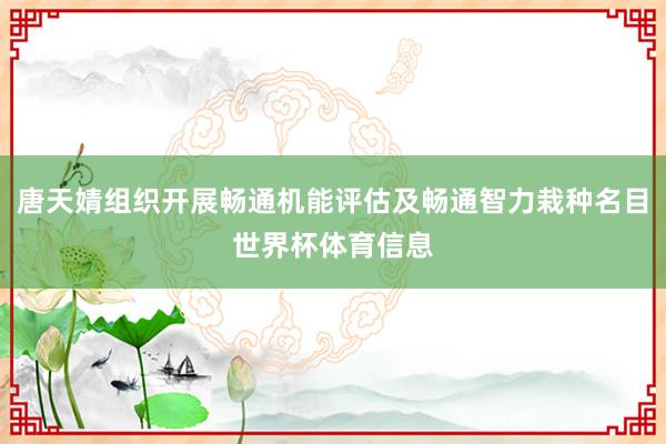 唐天婧组织开展畅通机能评估及畅通智力栽种名目世界杯体育信息