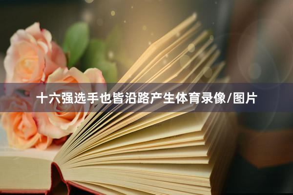 十六强选手也皆沿路产生体育录像/图片