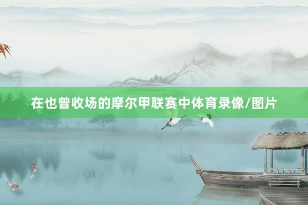 在也曾收场的摩尔甲联赛中体育录像/图片