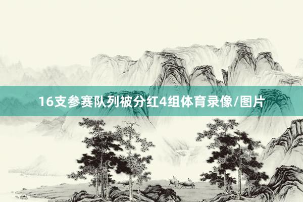 16支参赛队列被分红4组体育录像/图片
