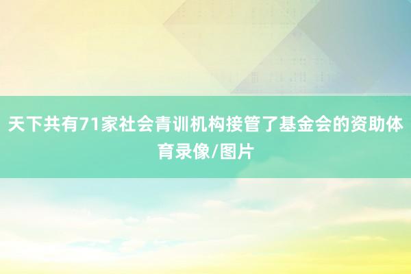 天下共有71家社会青训机构接管了基金会的资助体育录像/图片