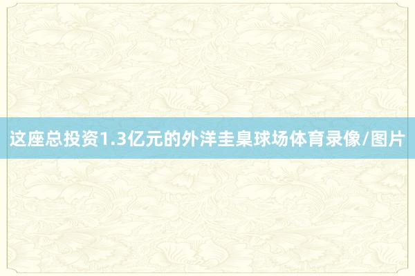 这座总投资1.3亿元的外洋圭臬球场体育录像/图片