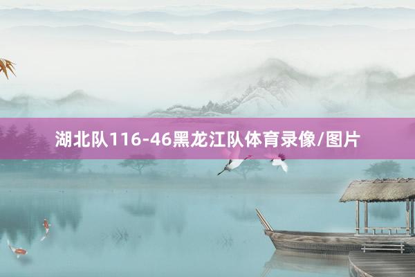湖北队116-46黑龙江队体育录像/图片