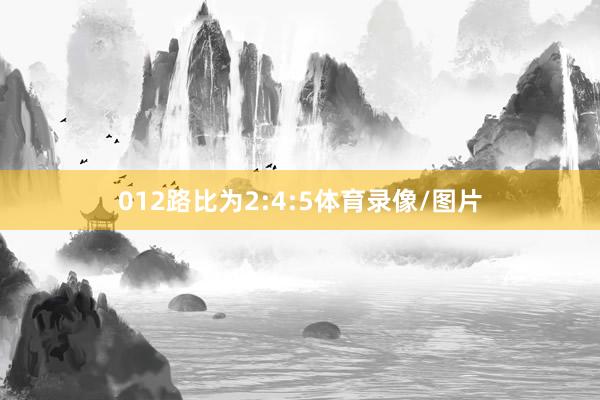 012路比为2:4:5体育录像/图片