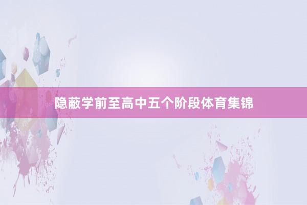 隐蔽学前至高中五个阶段体育集锦