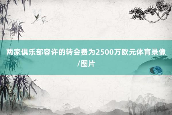 两家俱乐部容许的转会费为2500万欧元体育录像/图片