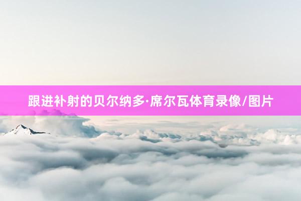 跟进补射的贝尔纳多·席尔瓦体育录像/图片