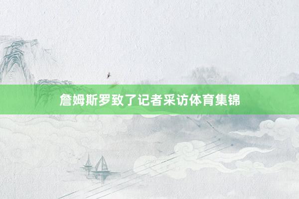 詹姆斯罗致了记者采访体育集锦