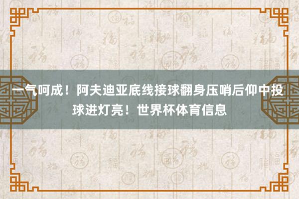 一气呵成！阿夫迪亚底线接球翻身压哨后仰中投 球进灯亮！世界杯体育信息
