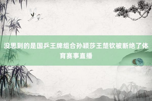 没思到的是国乒王牌组合孙颖莎王楚钦被断绝了体育赛事直播