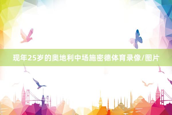 现年25岁的奥地利中场施密德体育录像/图片