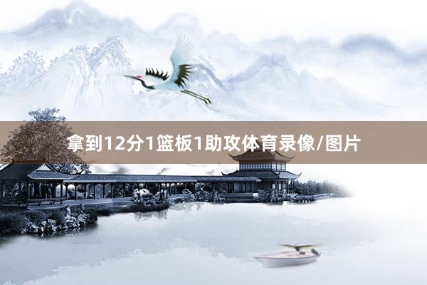 拿到12分1篮板1助攻体育录像/图片