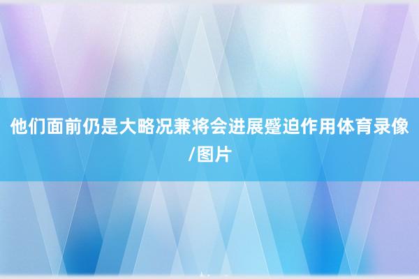 他们面前仍是大略况兼将会进展蹙迫作用体育录像/图片