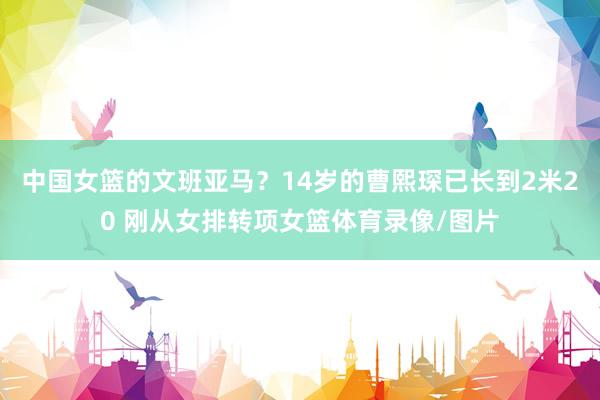 中国女篮的文班亚马？14岁的曹熙琛已长到2米20 刚从女排转项女篮体育录像/图片
