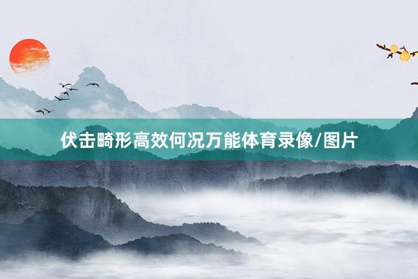 伏击畸形高效何况万能体育录像/图片