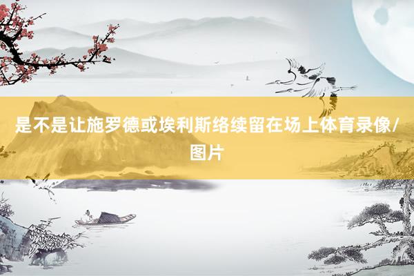 是不是让施罗德或埃利斯络续留在场上体育录像/图片