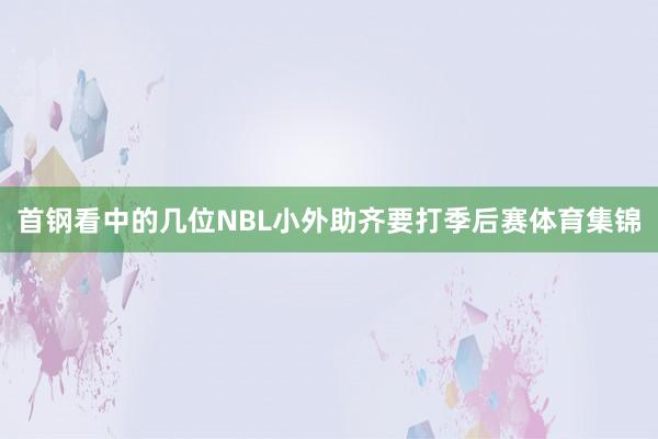 首钢看中的几位NBL小外助齐要打季后赛体育集锦