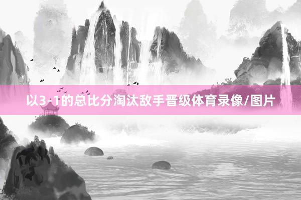 以3-1的总比分淘汰敌手晋级体育录像/图片