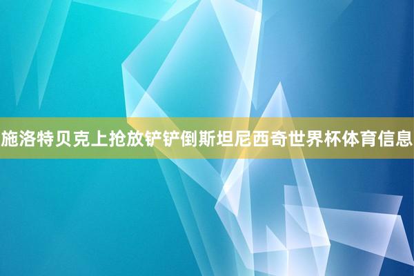 施洛特贝克上抢放铲铲倒斯坦尼西奇世界杯体育信息
