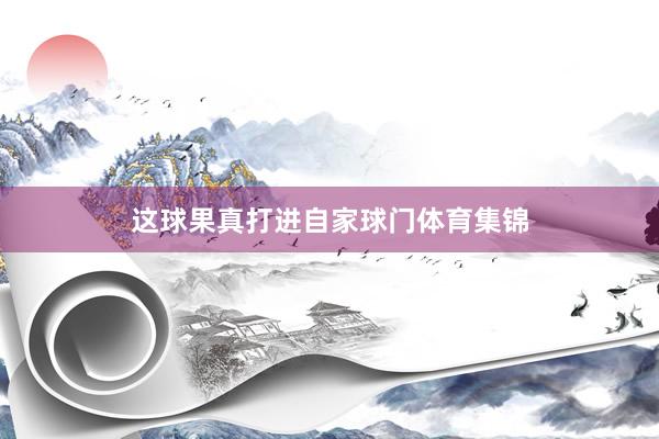 这球果真打进自家球门体育集锦