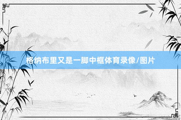 格纳布里又是一脚中框体育录像/图片