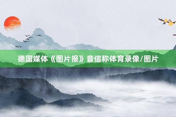 德国媒体《图片报》音信称体育录像/图片